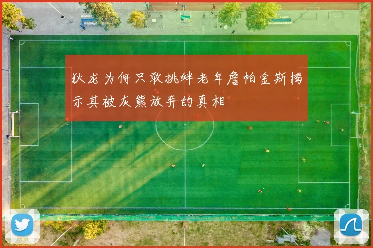 狄龙为何只敢挑衅老年詹帕金斯揭示其被灰熊放弃的真相